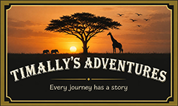 timally's adventures