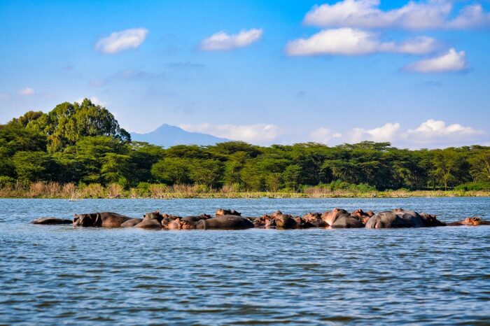 Lake Nakuru National Park - Timallys Adventures