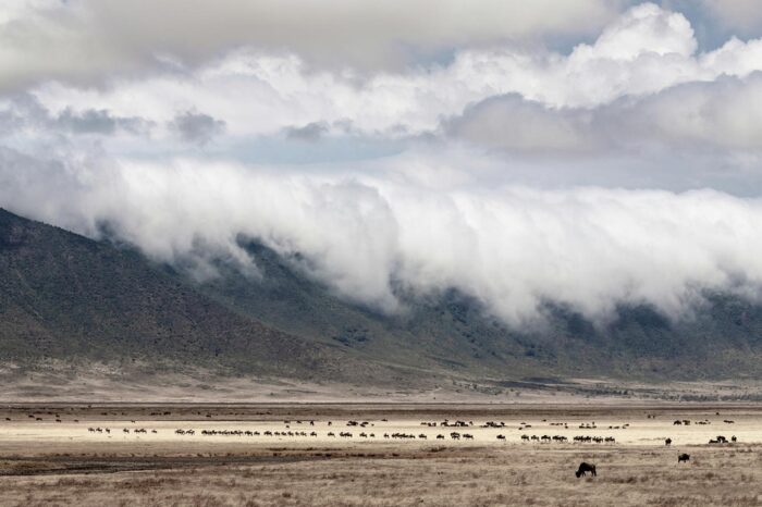 Ngorongoro Crater - Timallys Adventures