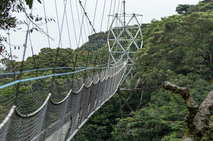 Uganda - Rwanda - Gorilla Trekking Safaris - Timallys Adventures